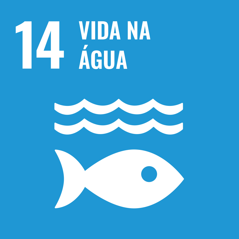 Governança global do meio ambiente: um resumo das conferências ambientais  de 2022 e o que vem em 2023 – IRI – Instituto de Relações Internacionais