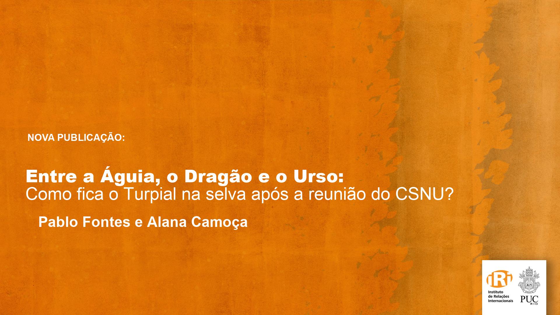 Entre a Águia, o Dragão e o Urso: Como fica o Turpial na selva após a reunião do Conselho de Segurança das Nações Unidas?