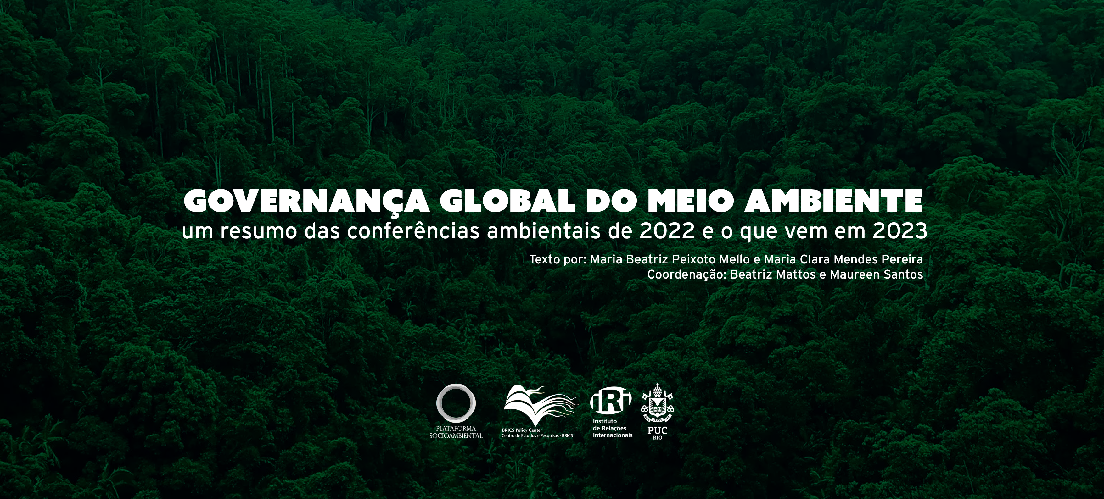 Governança global do meio ambiente: um resumo das conferências ambientais de 2022 e o que vem em 2023